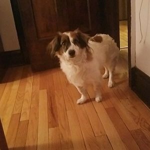 Meet your Posher, Robert